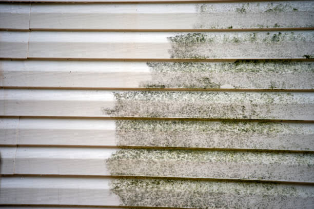 Best Mattress Disposal  in East Aurora, NY